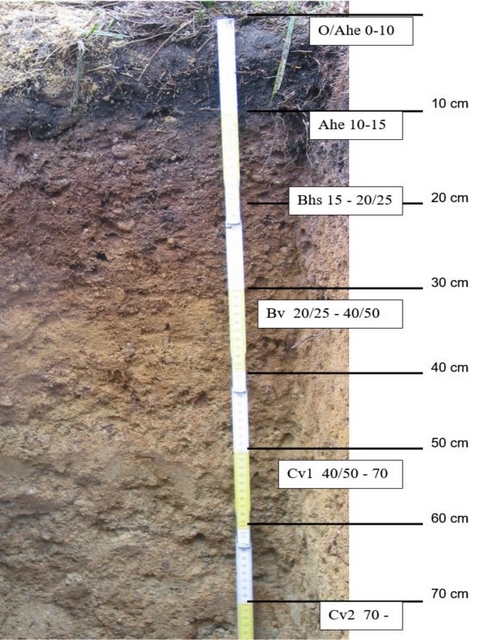 Bodenprofil_cr2
